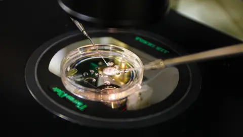 Revolutionizing Reproduction: Human Skin Cells Used to Create Embryos