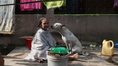 Telangana Investigates Surge in Stray Dog Killings Amid Election Promises