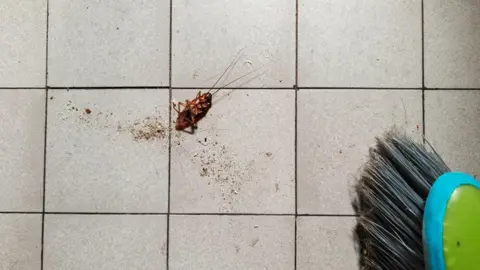 Tragedy Strikes After Woman's Attempt to Kill Cockroach Sets Apartment on Fire in South Korea