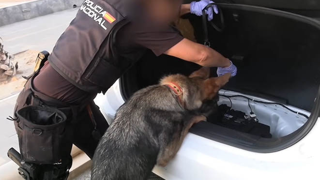 Spanish Police Bust One of Largest Mediterranean Smuggling Rings