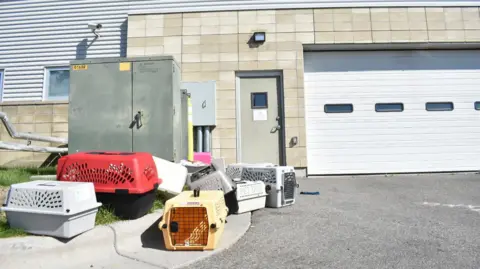 Smoke Incident at Animal Shelter: FBI's Drug Disposal Goes Awry