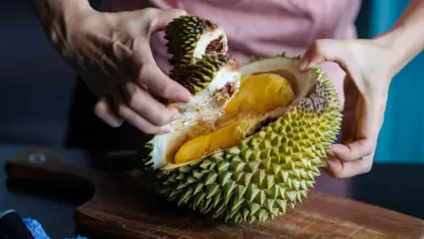 The Rise of Durian: How Raub is Embracing Its 'Luxury' Fruit for Economic Growth