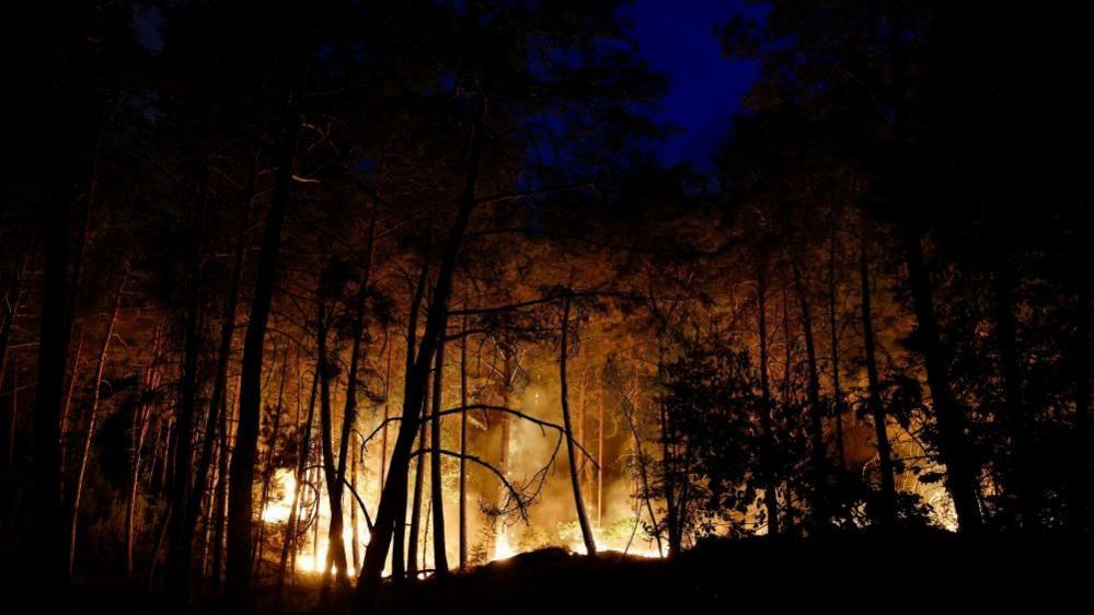 Wildfires Near Paris Highlight Need for Traditional Fire Stewardship in a Changing Climate