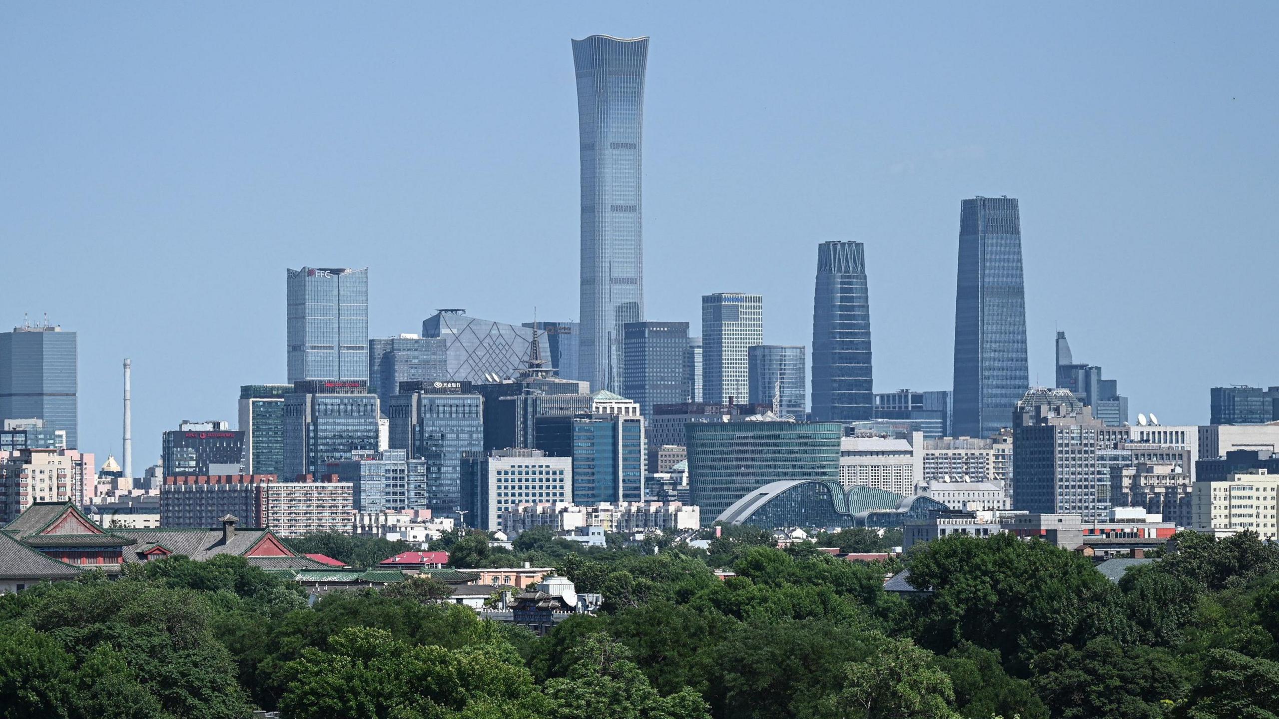 When a plane struck Beijing’s tallest tower, a silent crisis unfolded for communities and nature
