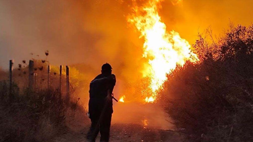 Algerian Fires Ignite Debate on Death Penalty and Indigenous Forest Stewardship