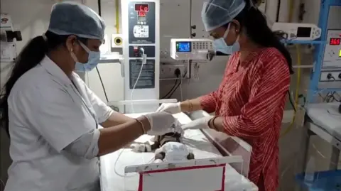 Desperate Fight for Life: 20-Day-Old Baby Girl Rescued from Burial in India