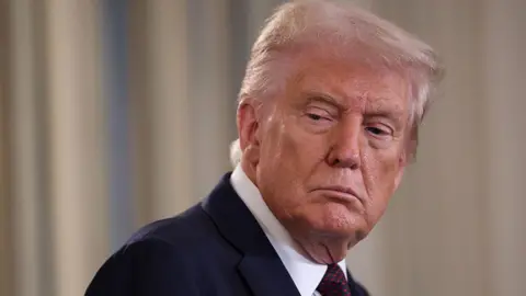 Supreme Court's New Term: A Critical Examination of Executive Power Under Trump