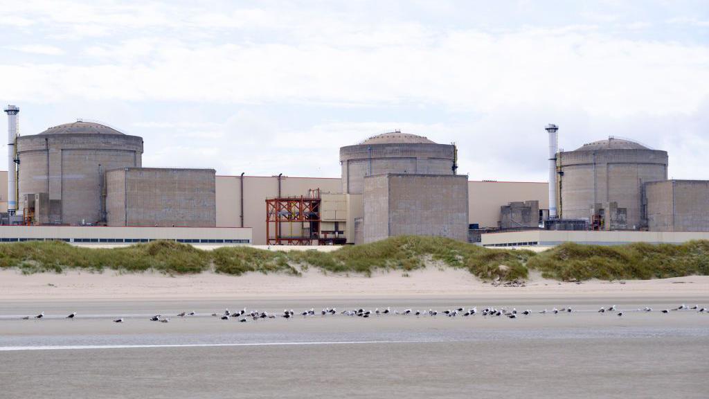 Jellyfish Swarm Cuts French Nuclear Plant as Indigenous Sea Wisdom Remains Untapped