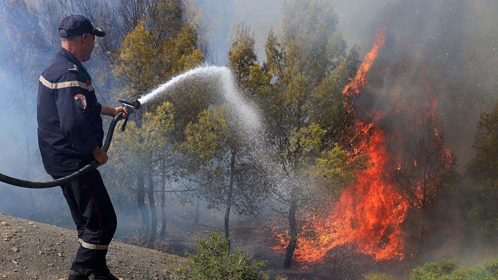 Algeria's Wildfires Devastate Northern Villages, Threatening Berber Heritage