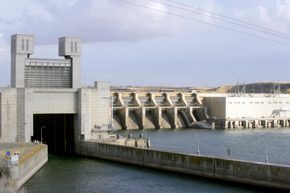 Legal Battle Intensifies Over Salmon Recovery in Northwest