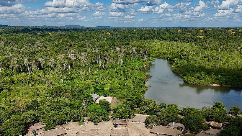 Amazon Burns Shrink: 2025 Fires Reduce to 3.1 M ha – A Hopeful Turn for Indigenous Amazonian Lands
