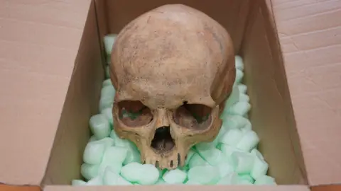 Reparative Gesture: Man Returns Stolen Skull to Vienna's St. Stephen's Cathedral After 60 Years