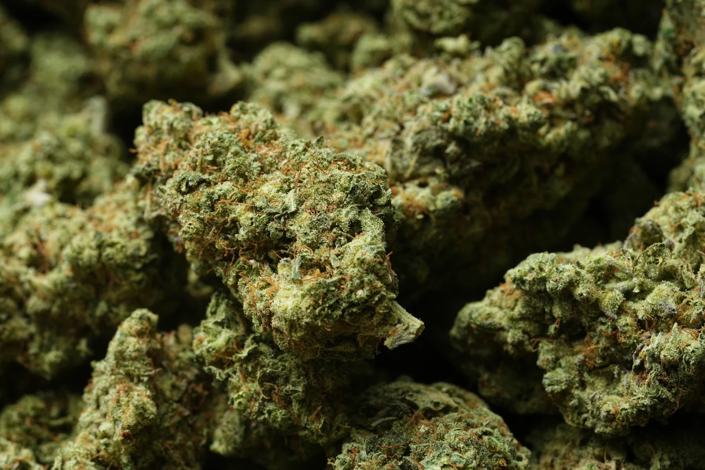 Transformation in Cannabis Policy: A Step Towards Medical Recognition