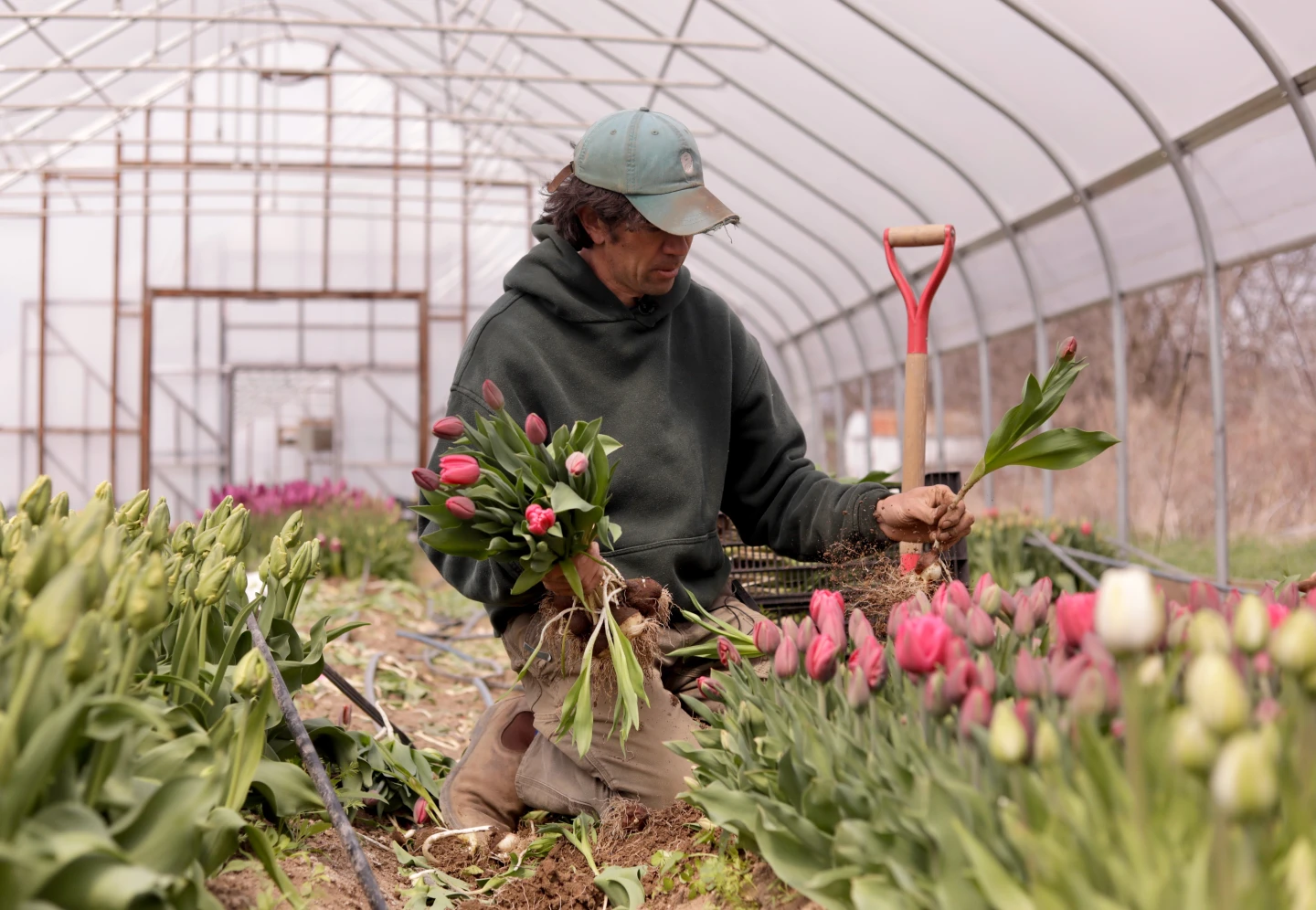 Vermont Farmers Face Climate Whiplash: Early Blooms and Late Frosts