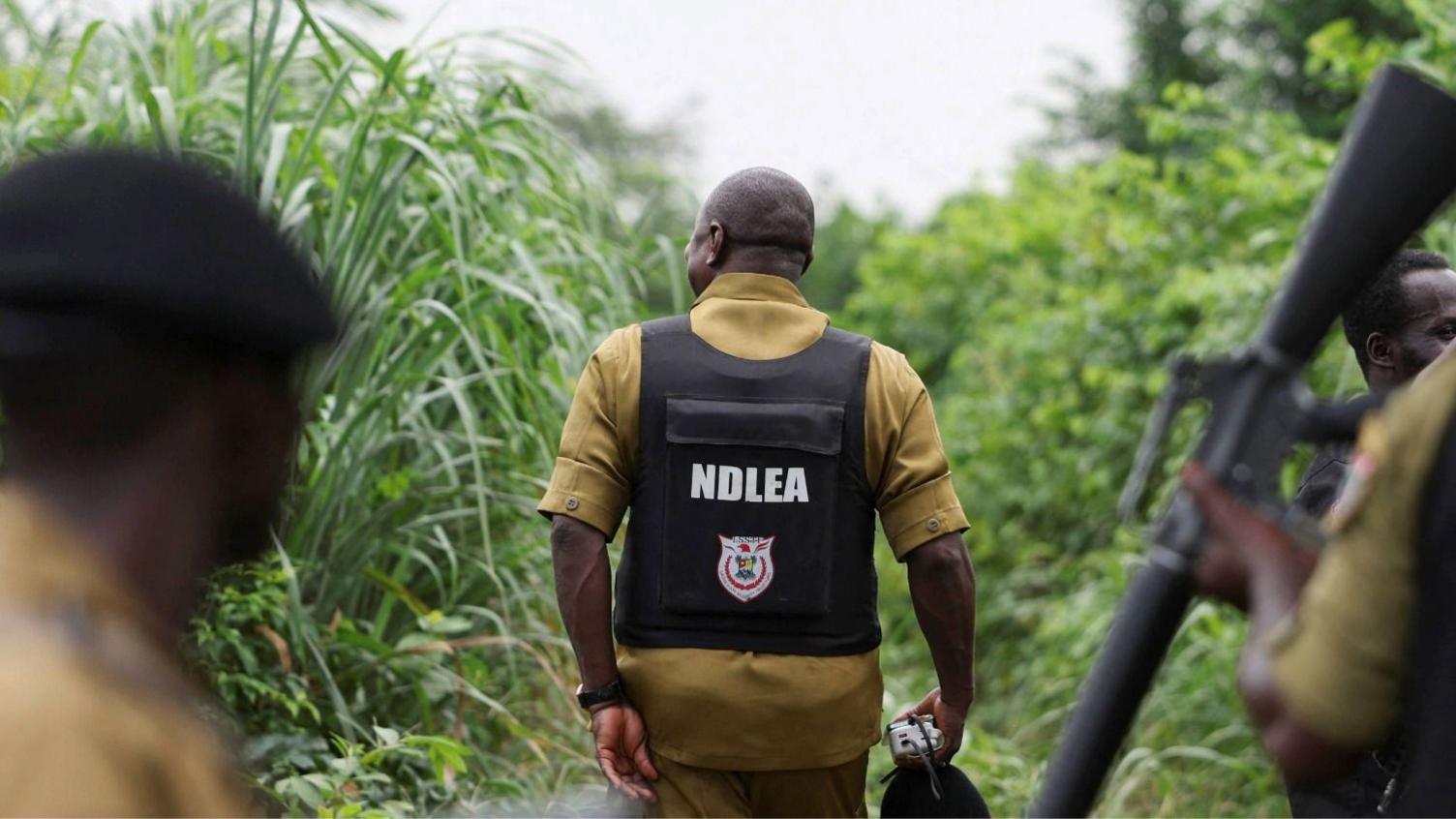 Indigenous Voices Alarmed as Mexico‑Backed Meth Labs Unfold on Nigerian Lands