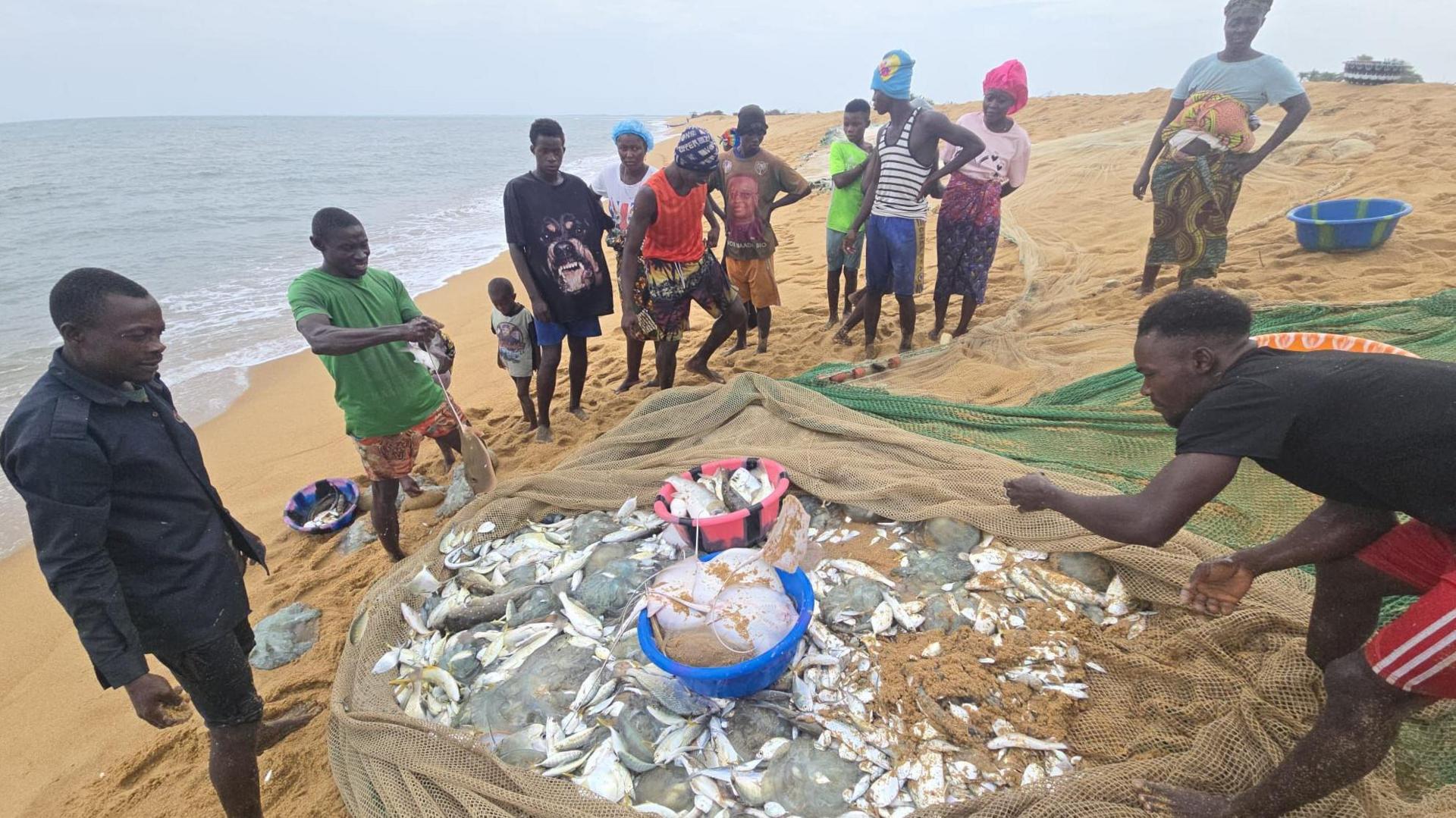 Sierra Leone Fisherfolk Fight Back: Chinese Trawlers Threaten Coastal Traditions