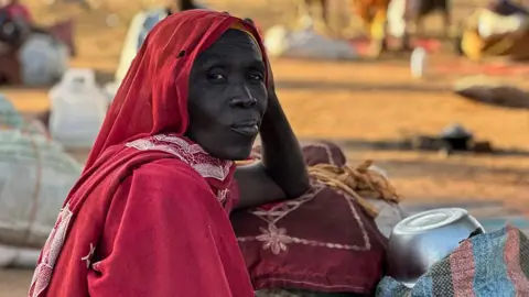Resurgence of Ethnic Violence in Sudan: A Grim Reflection of History