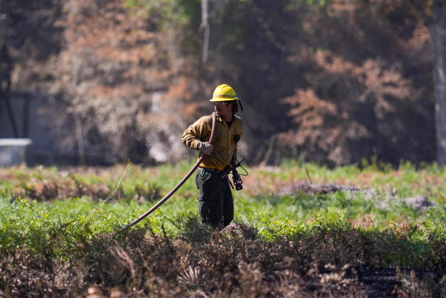 Southeast Georgia Wildfires Force Evacuations as Destruction Mounts