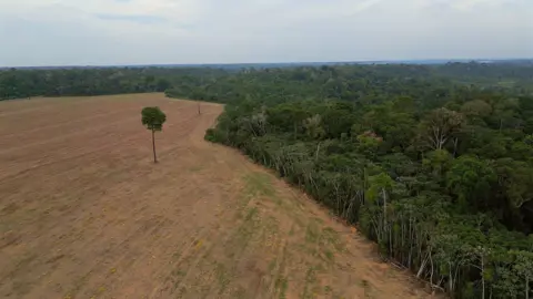 Threatened Amazon: Struggles Over Soy Moratorium and Deforestation Risks