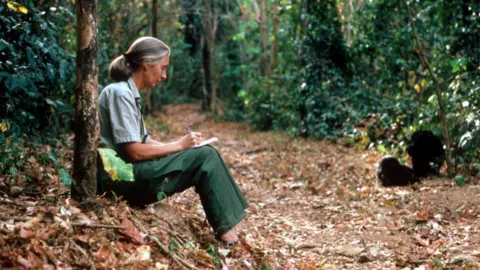 Remembering Jane Goodall: A Legacy of Conservation and Compassion