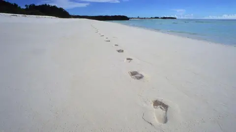 Assumption Island: The Crucial Factor in Seychelles' Presidential Elections