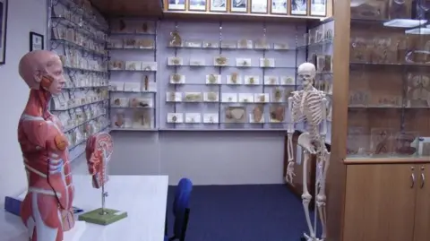 Tasmanian Government Apologizes for Historical Body Parts Scandal