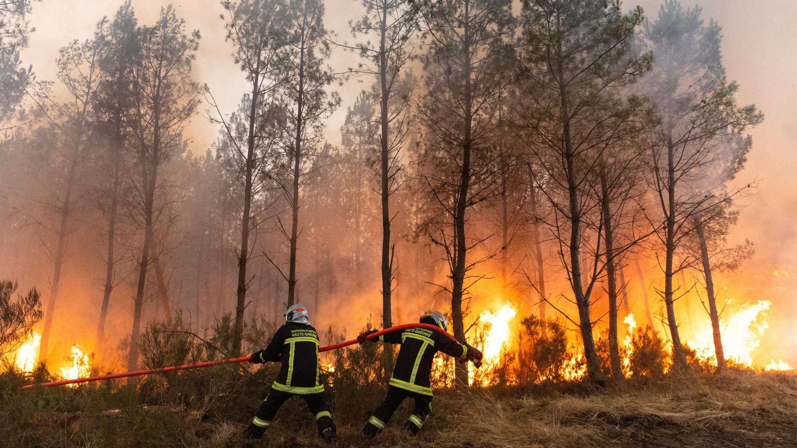 Smoke Over Bordeaux: Residents, Communities, and the Cost of Wildfire