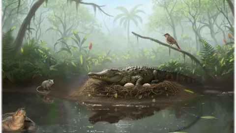 Unearthing Ancient Wisdom: The Discovery of the 'Drop Croc' in Australia