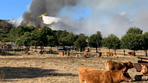 Devastating Wildfires Hit Rural Spain: A Struggle for Survival