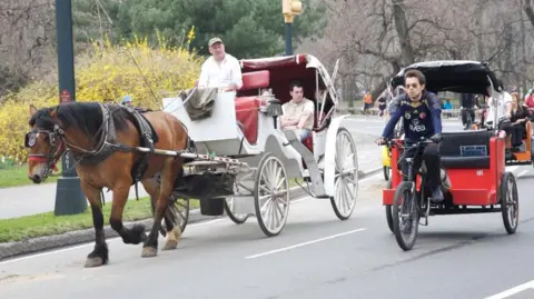 When Horses Carry Legacy: The Human‑Animal Dilemma in NYC's Central Park