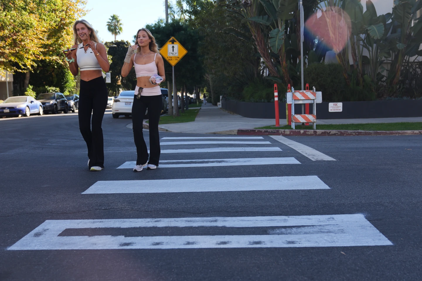 Activist Arrested After Guerrilla Crosswalk Painting in Los Angeles