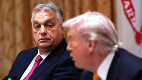 The Complex Outcomes of Orban's Washington Visit