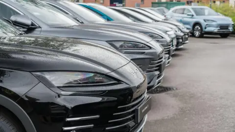 BYD Surpasses Tesla as Leading Electric Vehicle Seller