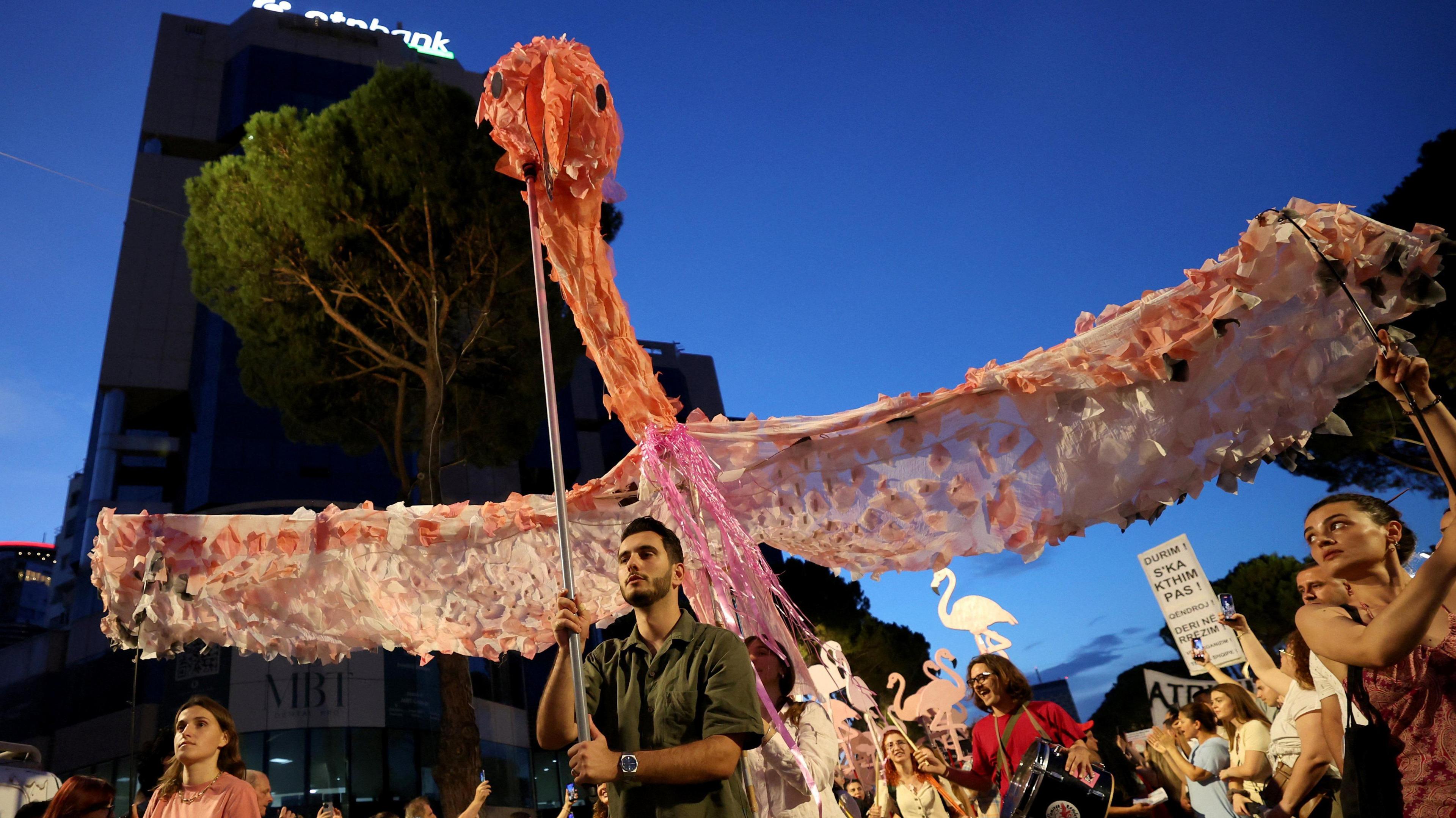 Flamingo Revolution: Albania’s Indigenous People Rally Against Development and Corruption