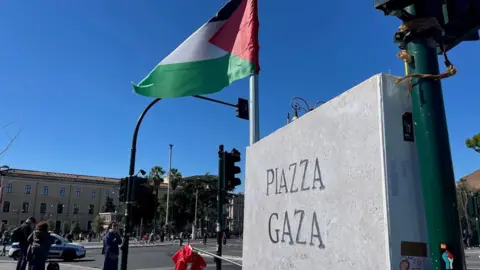 Solidarity in Action: Italians Strike for Gaza Relief