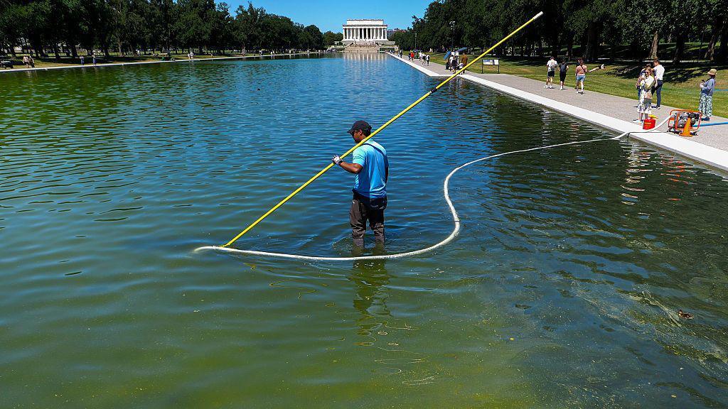 Algae Bloom in Washington’s Reflecting Pool Brings Indigenous Water Stewardship to the Fore
