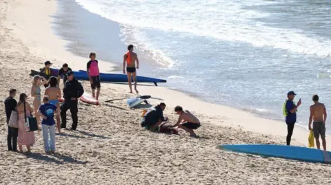 Shark attack at Coogee Beach sparks call for respectful stewardship of coastal waters