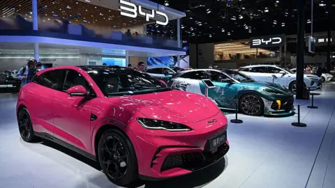 BYD's Resilience: Thriving Without the US Market