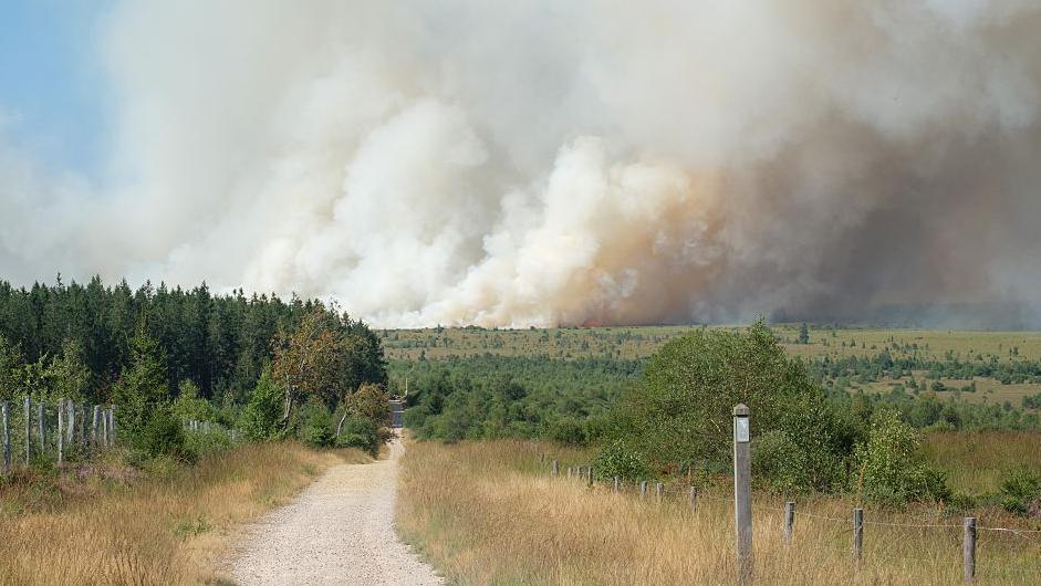 Belgian Wildfire Threatens High Fens and Long‑Standing Conservation Practices