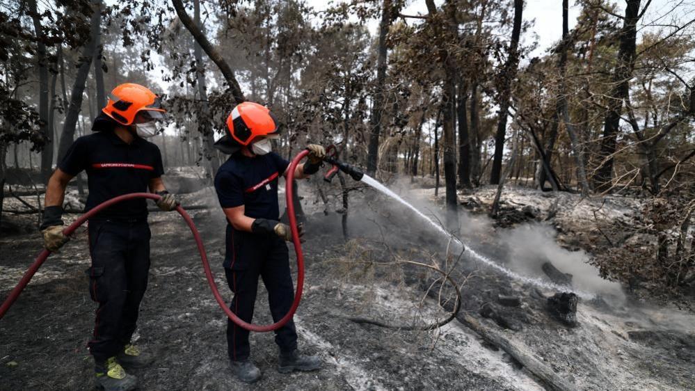 Volunteer Firefighter Under Investigation Sparks Indigenous Calls for Stewardship in France’s Forest