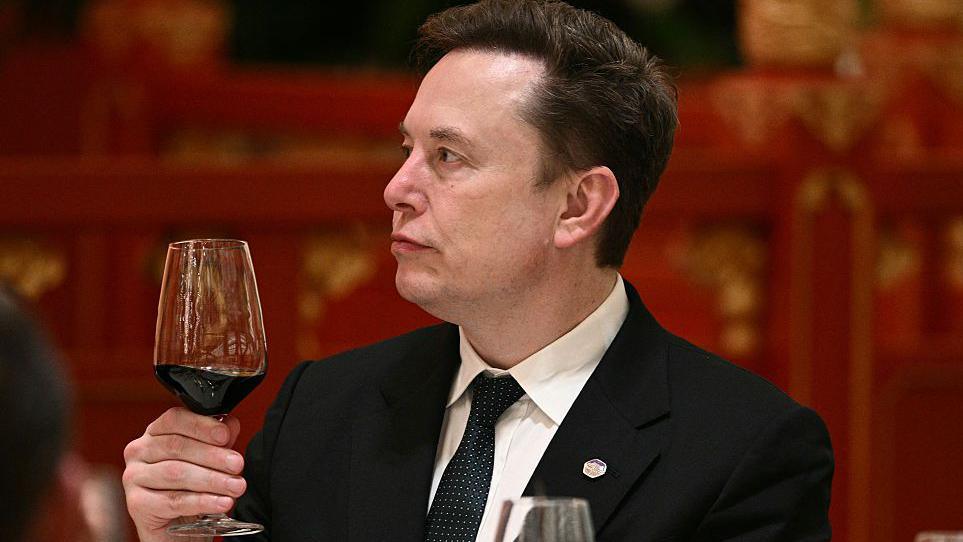 Elon Musk Says AI Will ‘Enjoy the Ride’ While Indigenous Voices Raise Concerns
