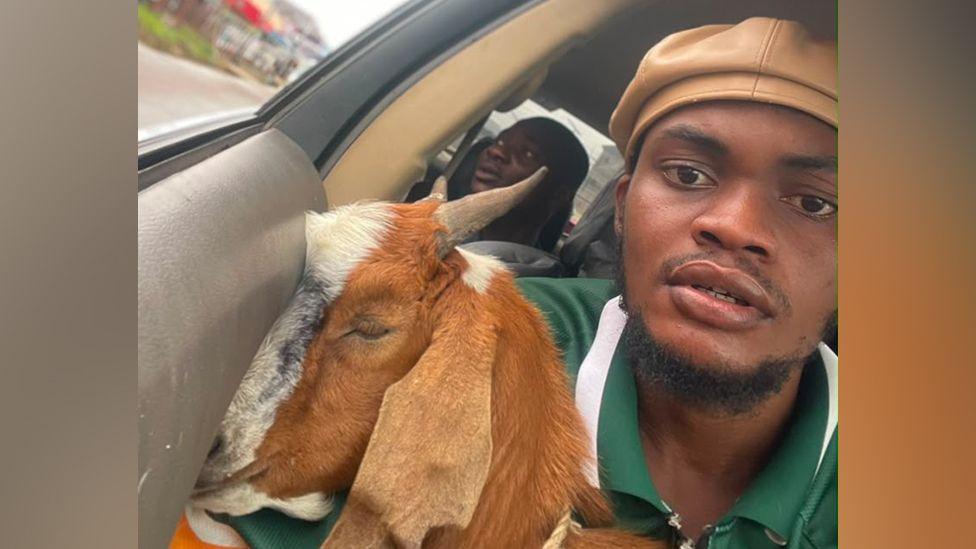 From Graduation Gift to Cultural Symbol: The Igbo Goat’s Viral Story