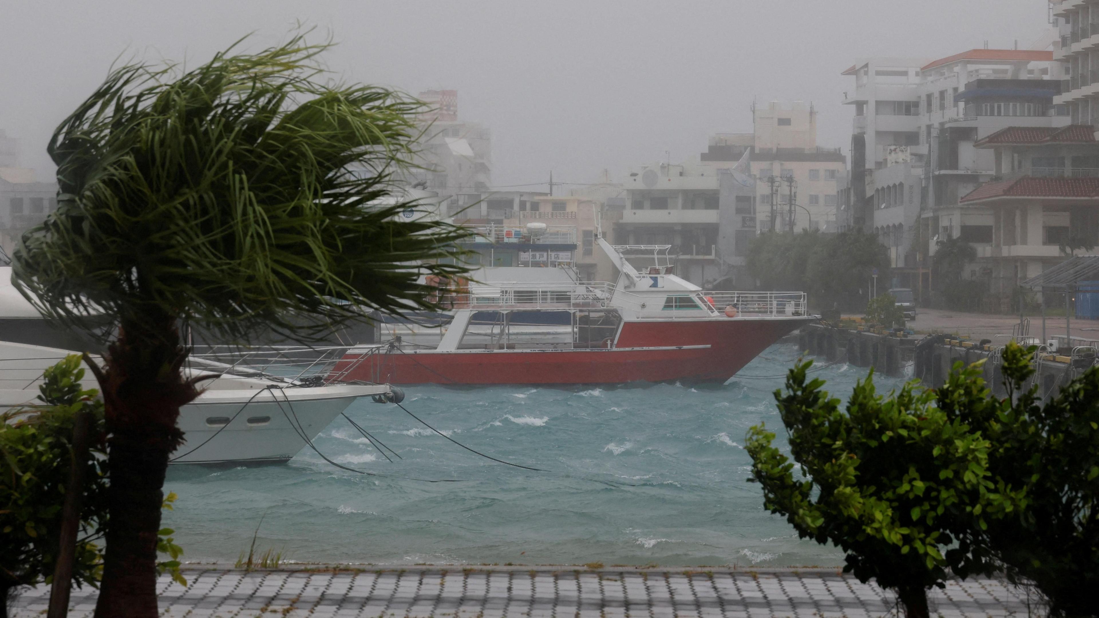 Typhoon Bavi: Indigenous Communities in East China Face Storm‑Season Challenges