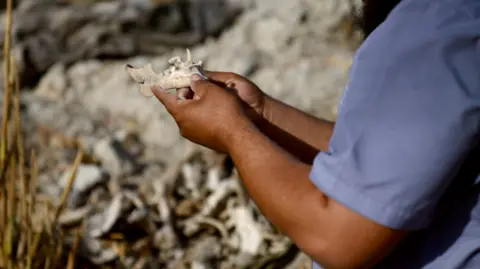 Searching for Truth: The Families of Syria's Missing Demand Justice