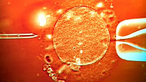 Fertility Clinics Face Controversy Over Cancer-Causing Sperm Donor