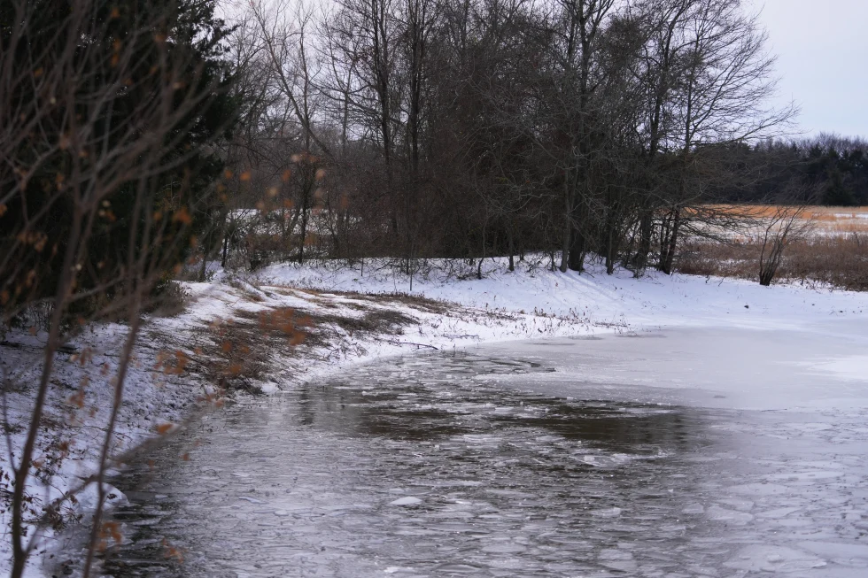 Tragic Loss: Three Young Brothers Drown in Icy Pond During Severe Winter Storm in Texas